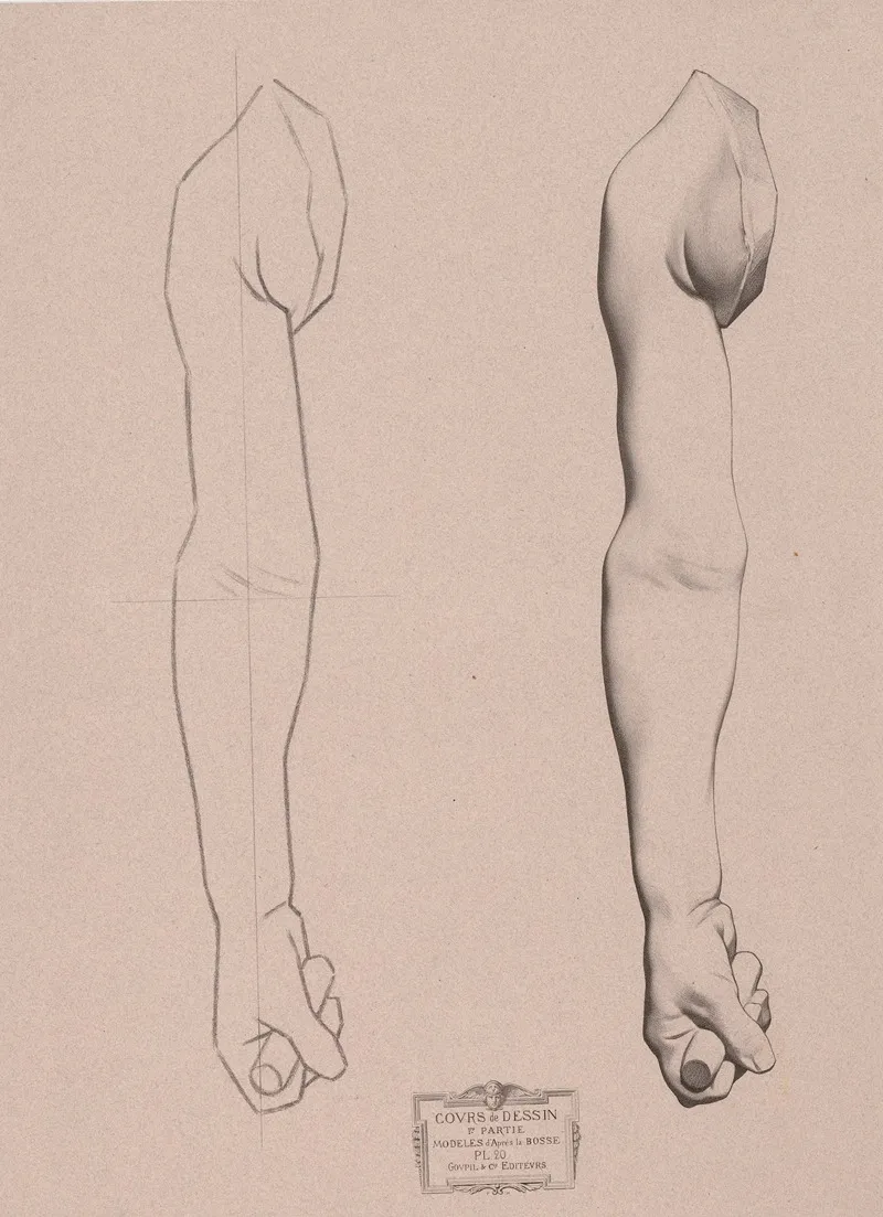 Cours De Dessin Pl 21