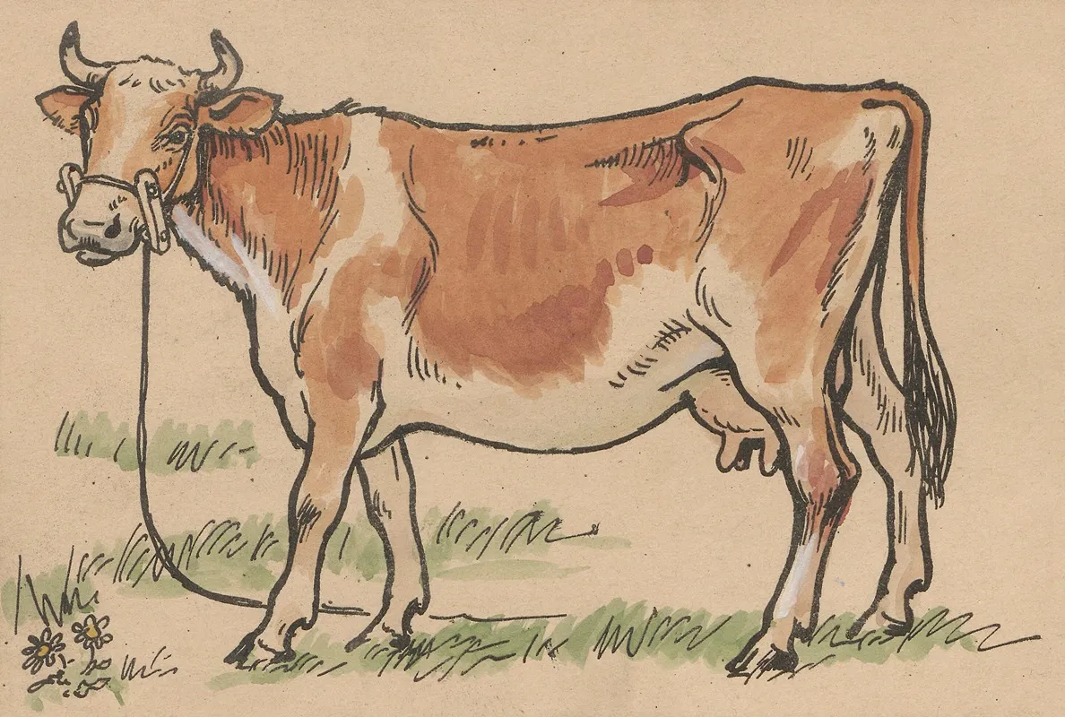 Cow Grazing 3