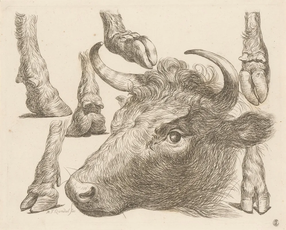 Cow Head And Studies Of Hooves Wall Art by Martin Ferdinand Quadal - High-Resolution Digital Print