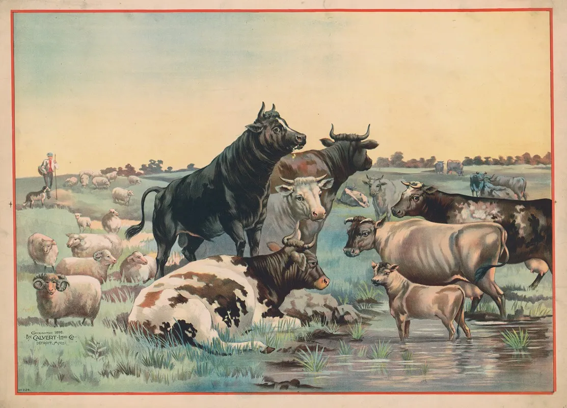 Cows And Sheep In A Pasture With Six Cows Looking Out At The Viewer Wall Art by Calvert Litho. Co - High-Resolution Digital Print