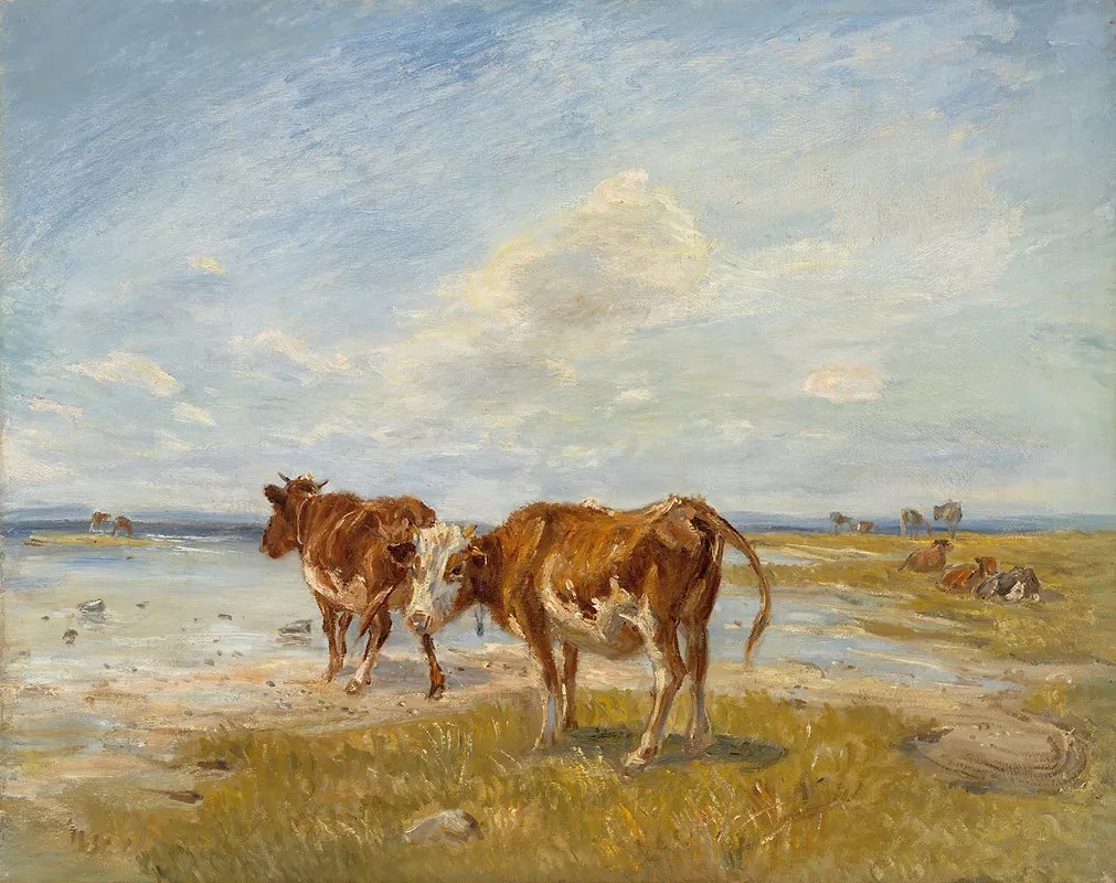 Cows On The Beach Sketch