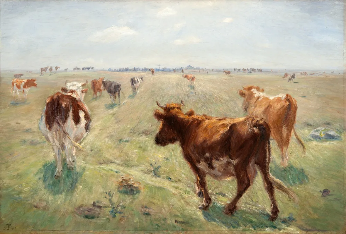 Cows Out To Graze