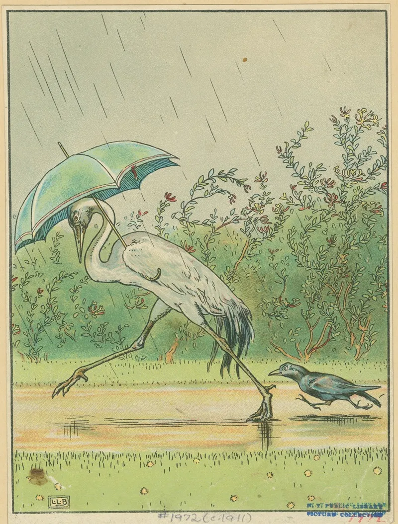 Crane And Crow With An Umbrella