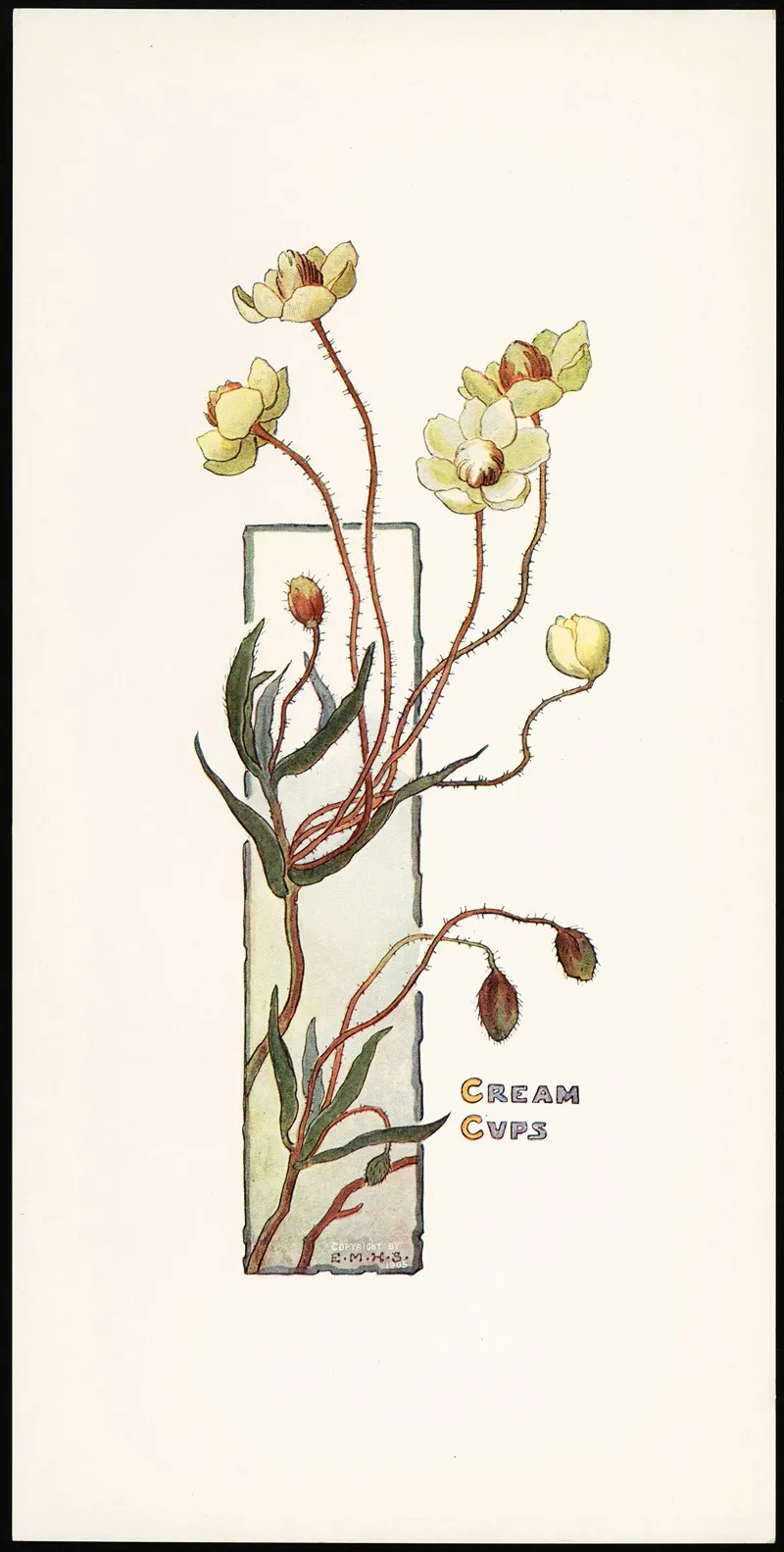 Cream Cups Wall Art by Elizabeth Moore Hallowell - High-Resolution Digital Print