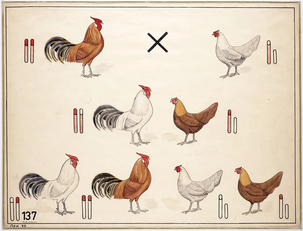 Criss Cross Kippen Inheritance Wall Art by A.A. van Voorn - High-Resolution Digital Print