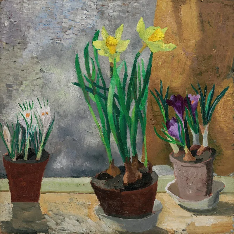 Crocuses And Daffodils In Pots