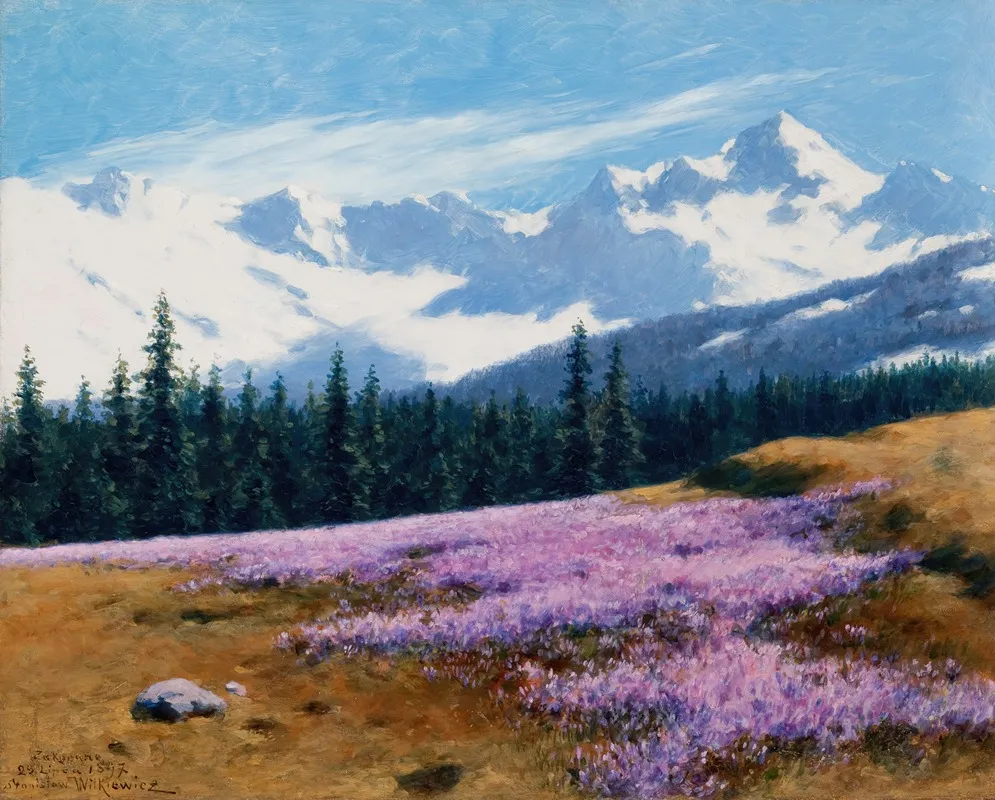 Crocuses With Snowy Mountains Behind