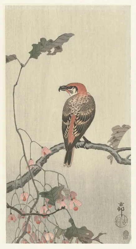 Crossbill On Tree Branch Wall Art by Ohara Koson - High-Resolution Digital Print