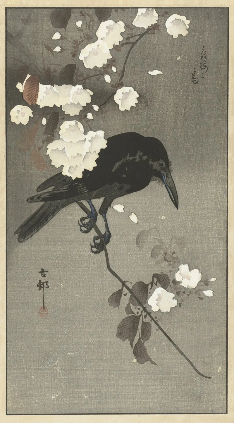 Crow With Cherry Blossom Wall Art by Ohara Koson - High-Resolution Digital Print