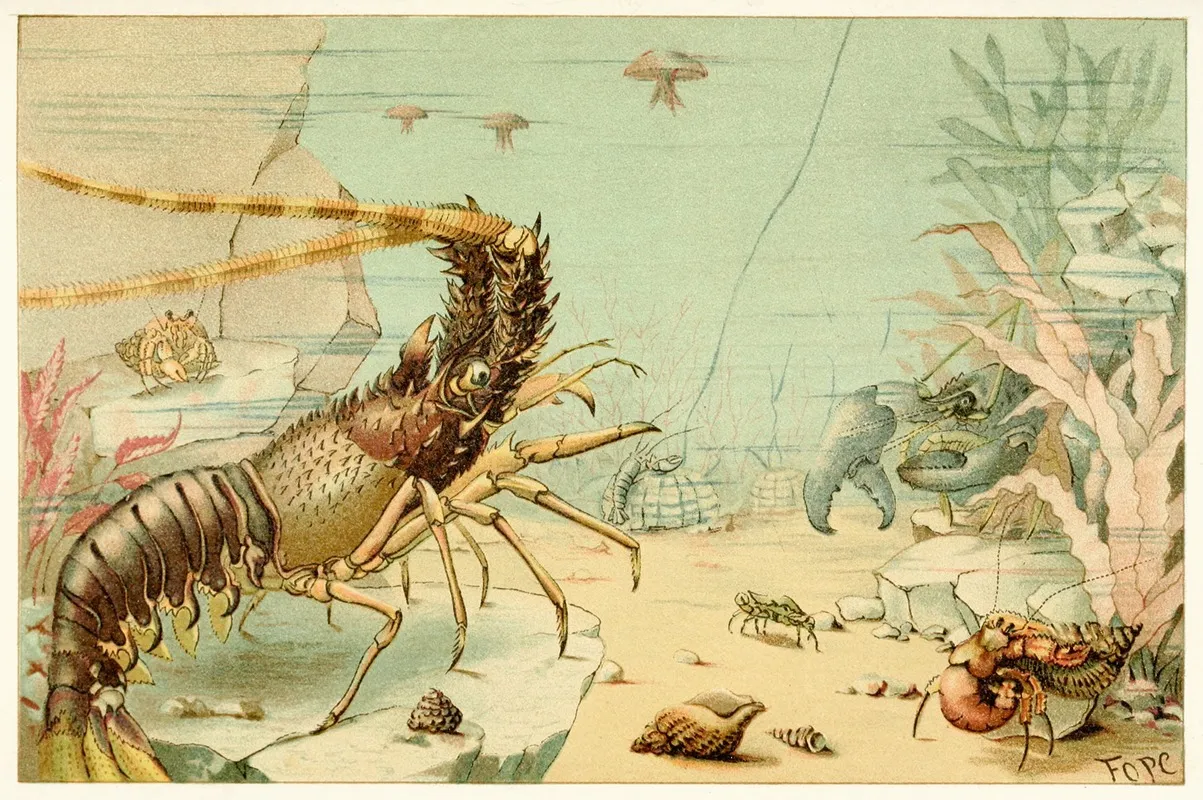 Crustaceans Wall Art by Anonymous - High-Resolution Digital Print