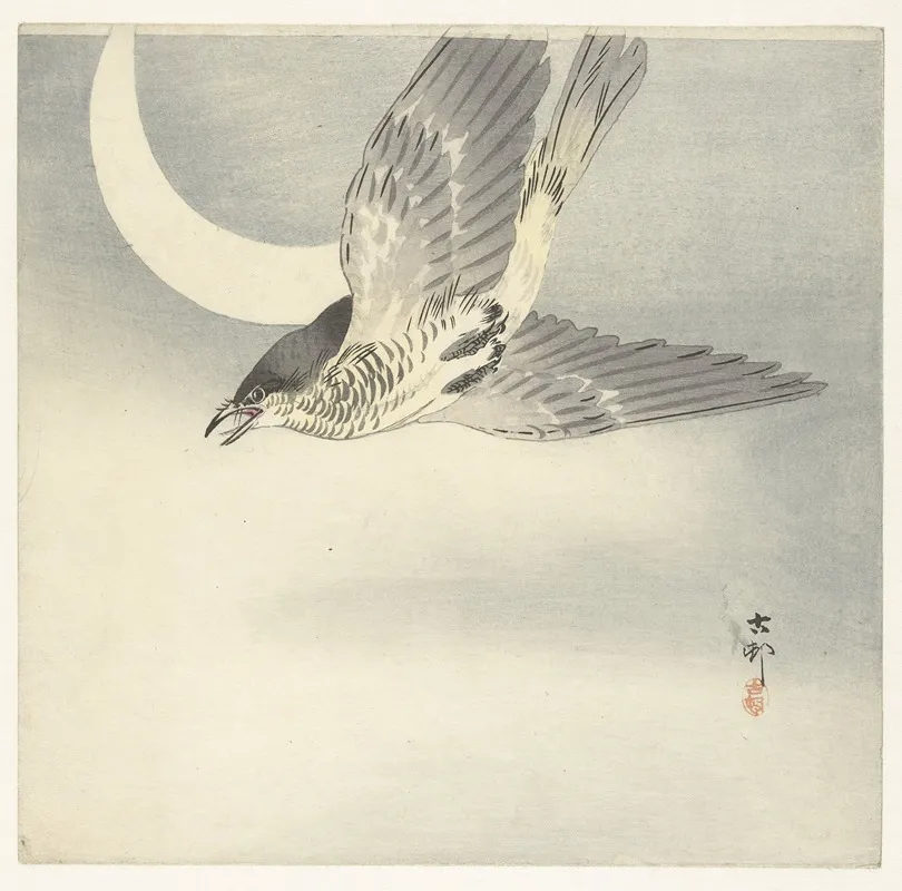 Cuckoo At Crescent Moon