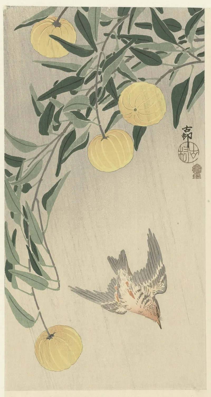 Cuckoo In The Rain Wall Art by Ohara Koson - High-Resolution Digital Print