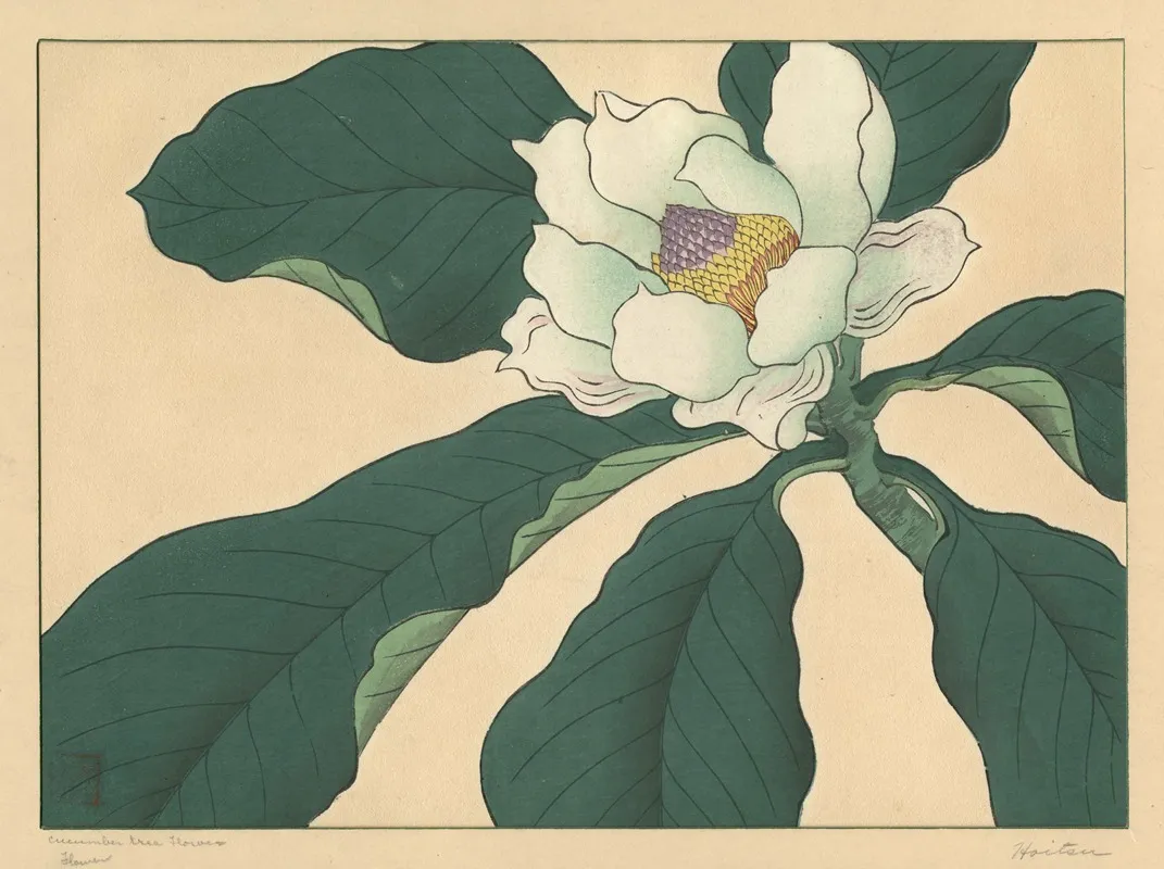 Cucumber Tree Flowers Wall Art by Sakai Hōitsu - High-Resolution Digital Print