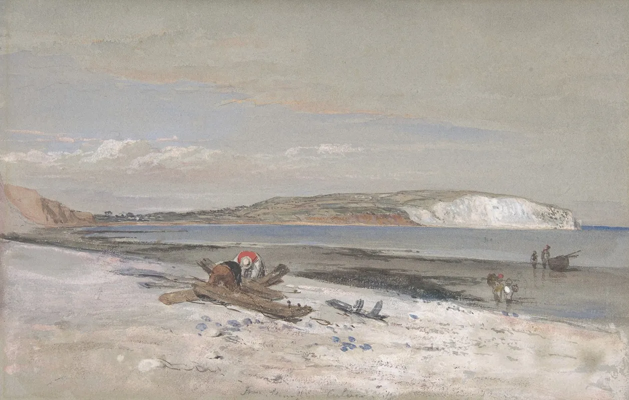 Culver Cliff Isle Of Wight
