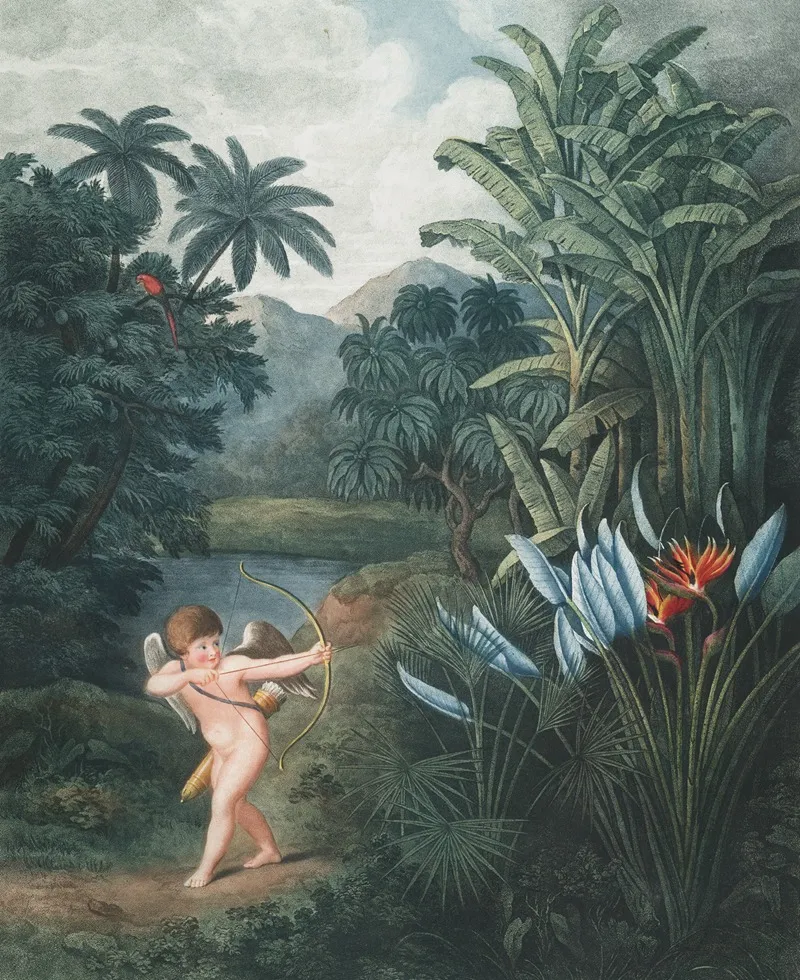 Cupid Inspiring Plants With Love Wall Art by Robert John Thornton - High-Resolution Digital Print