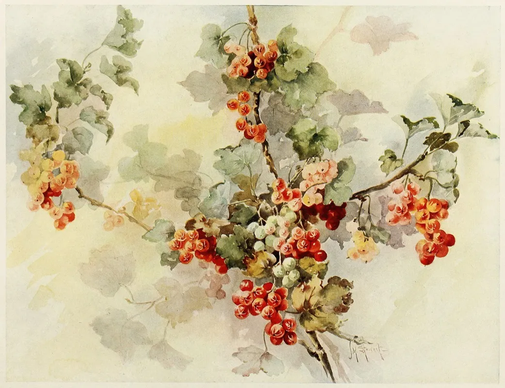 Currants 2 Wall Art by Jeanne M. Stewart - High-Resolution Digital Print