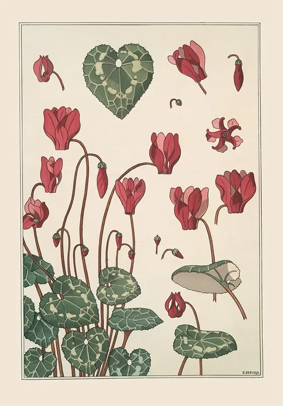 Cyclamen Wall Art by Maurice Pillard Verneuil - High-Resolution Digital Print