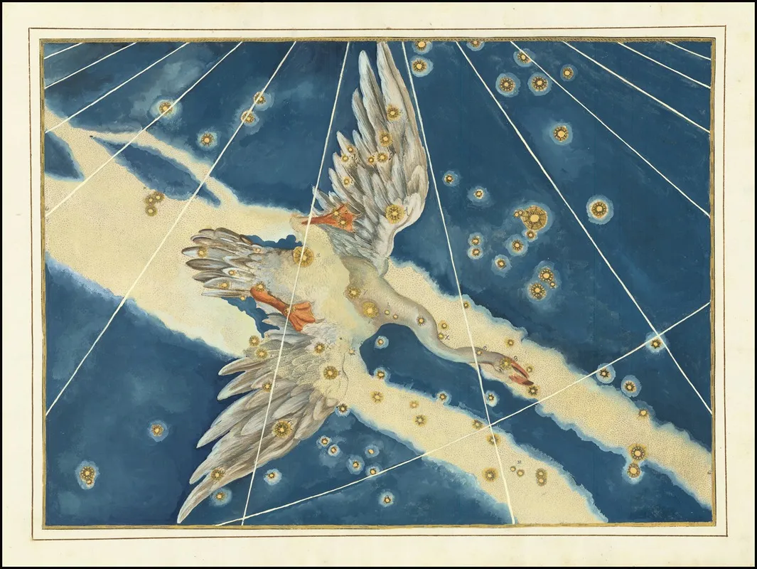 Cygnus Wall Art by Johann Bayer - High-Resolution Digital Print