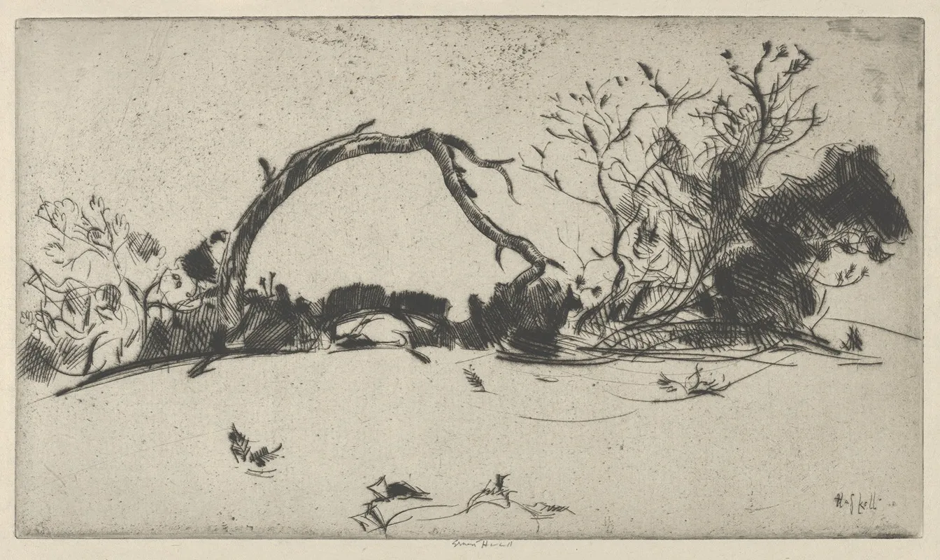 Cypress Study No 1
