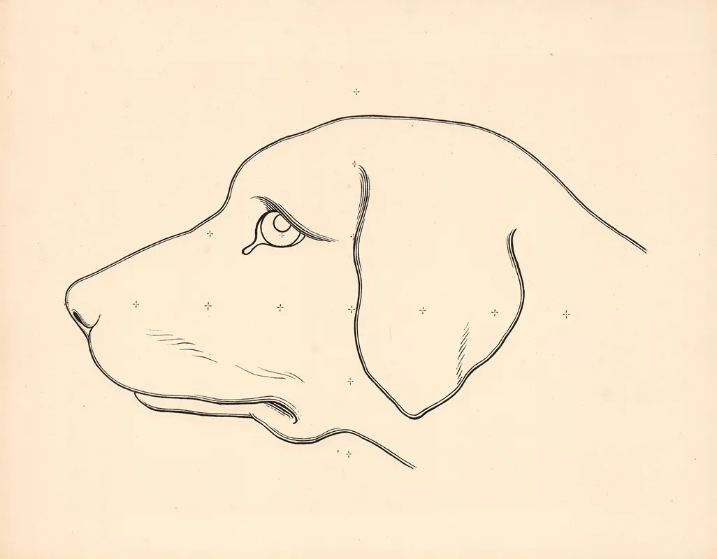 Dachshund Head Wall Art by Carl Ludvig Petersen - High-Resolution Digital Print