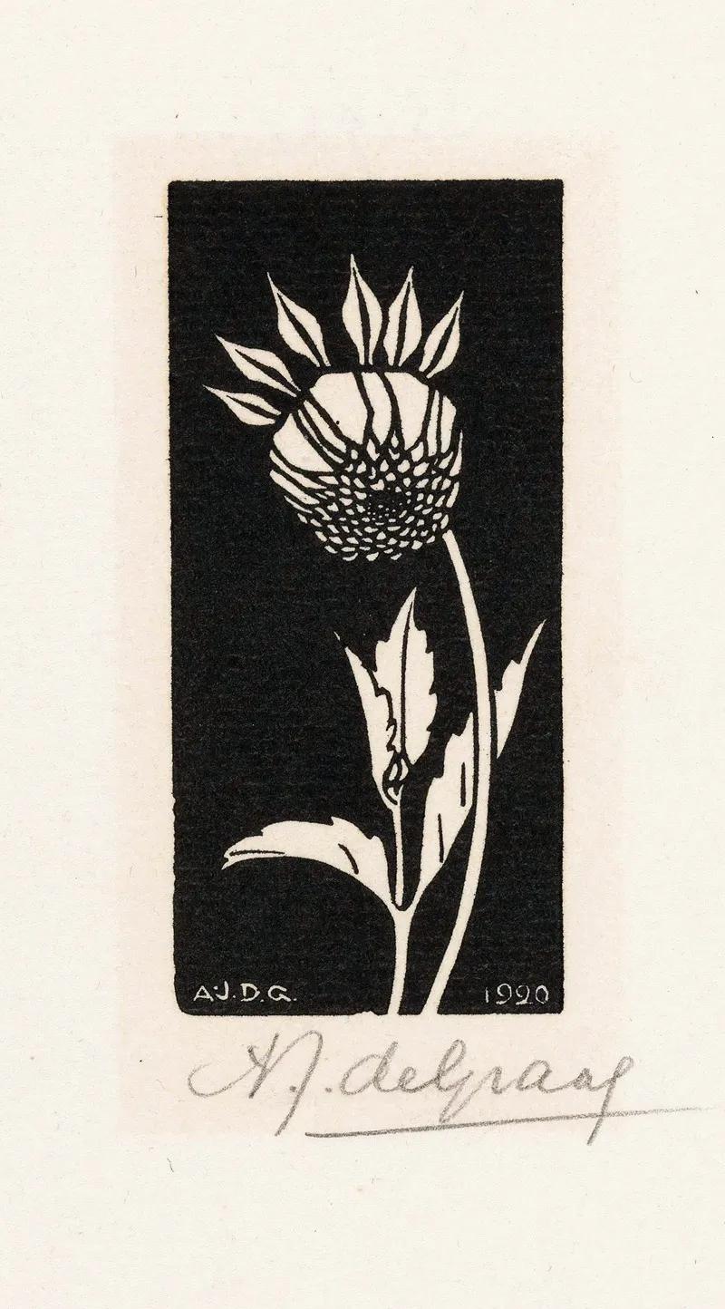 Dahlia