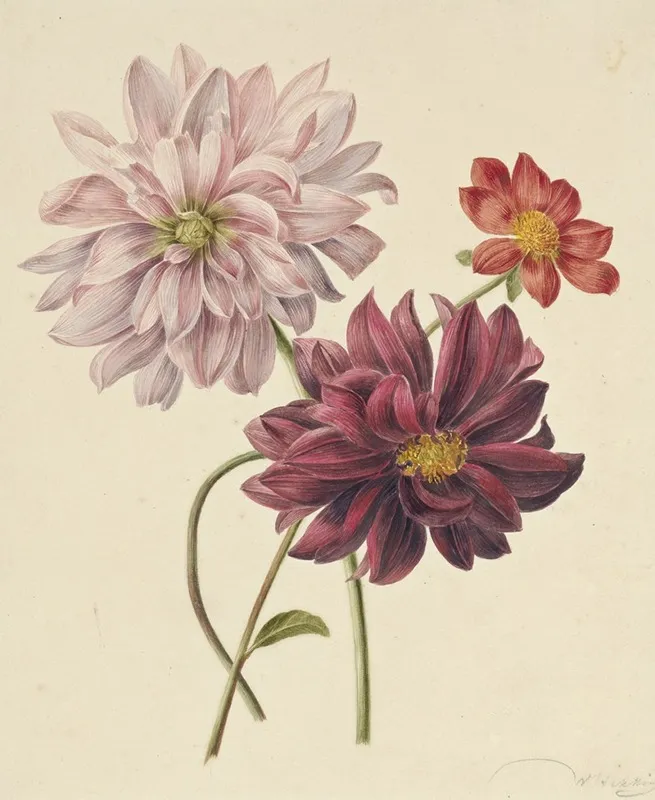 Dahlias Wall Art by Willem Hekking - High-Resolution Digital Print