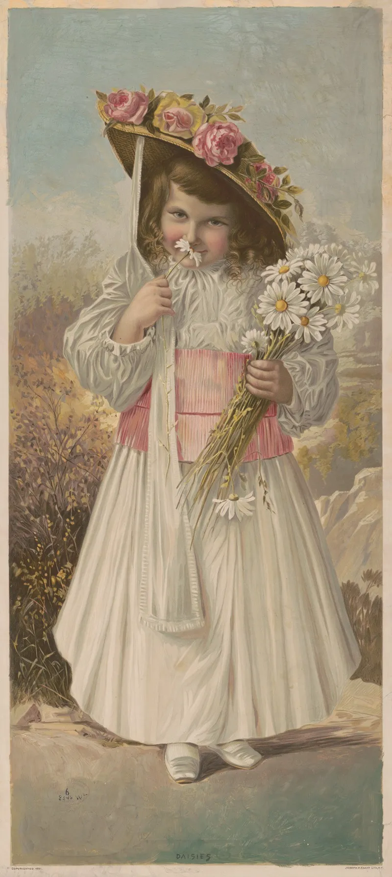 Daisies 4