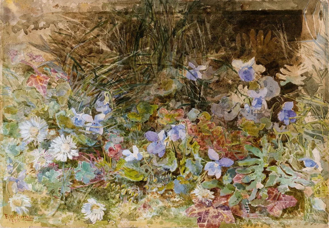 Daisies And Violets