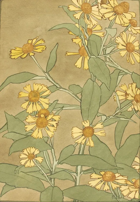 Daisies With Orange Center And Yellow Petals