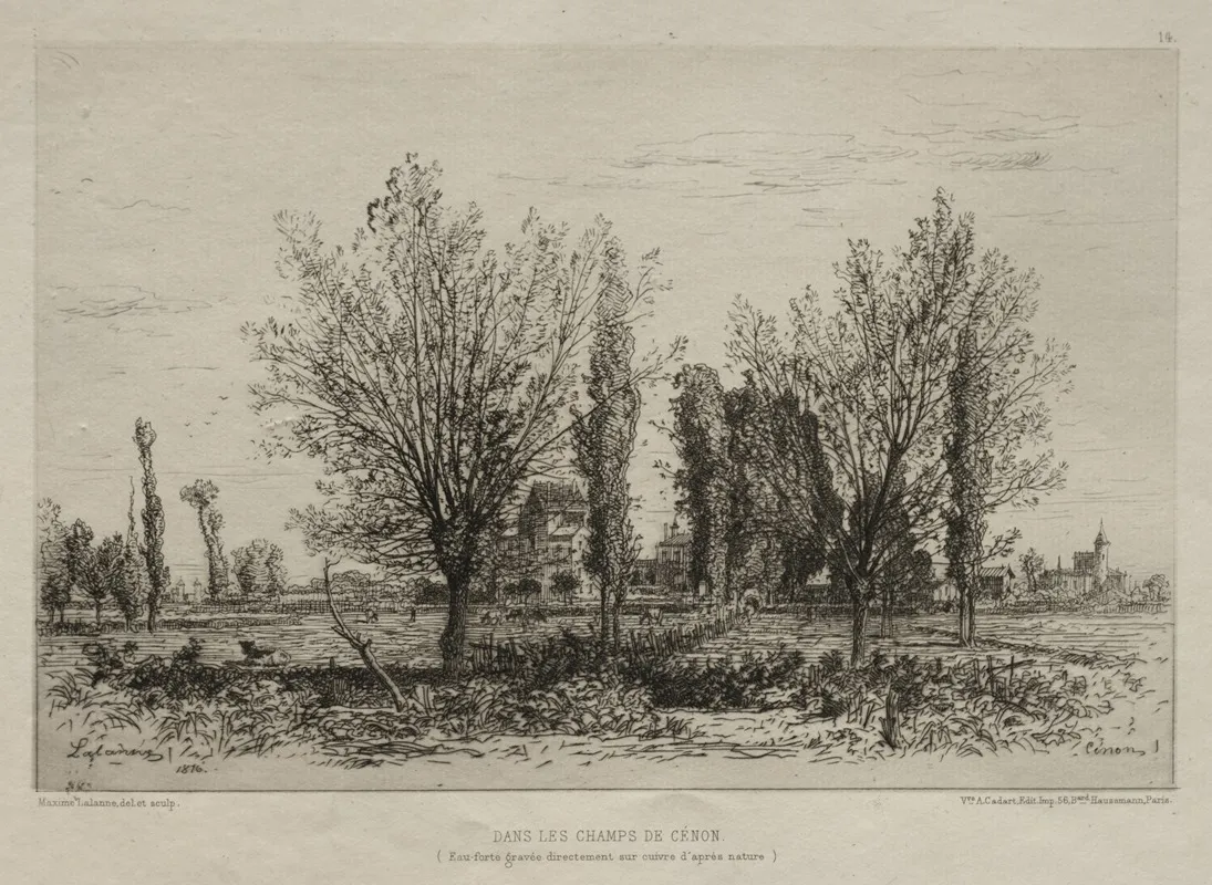 Dans Les Champs De Cenon