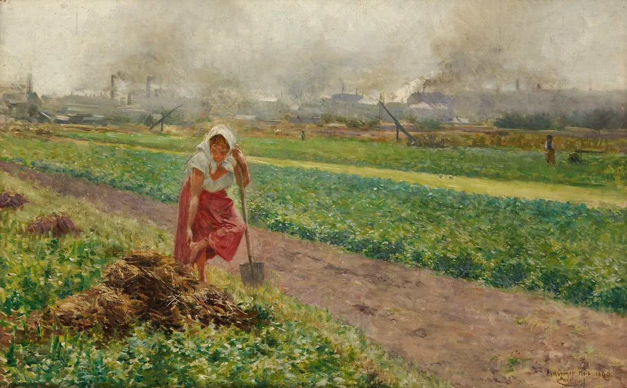 Das Erdberger Mais Im Jahr 1890