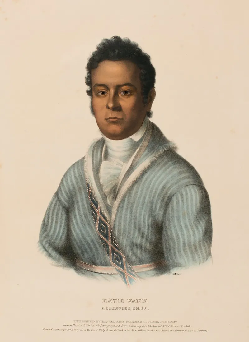 David Vann A Cherokee Chief