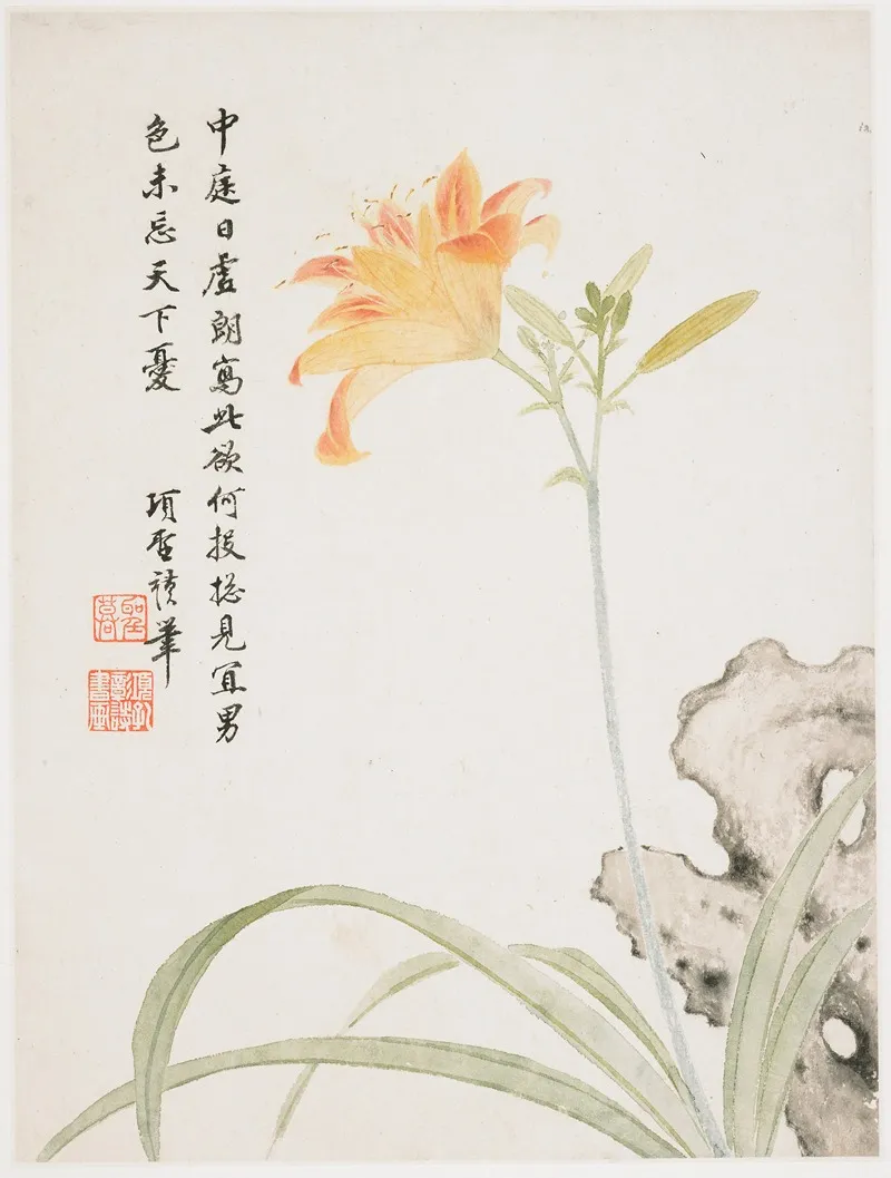Day Lily