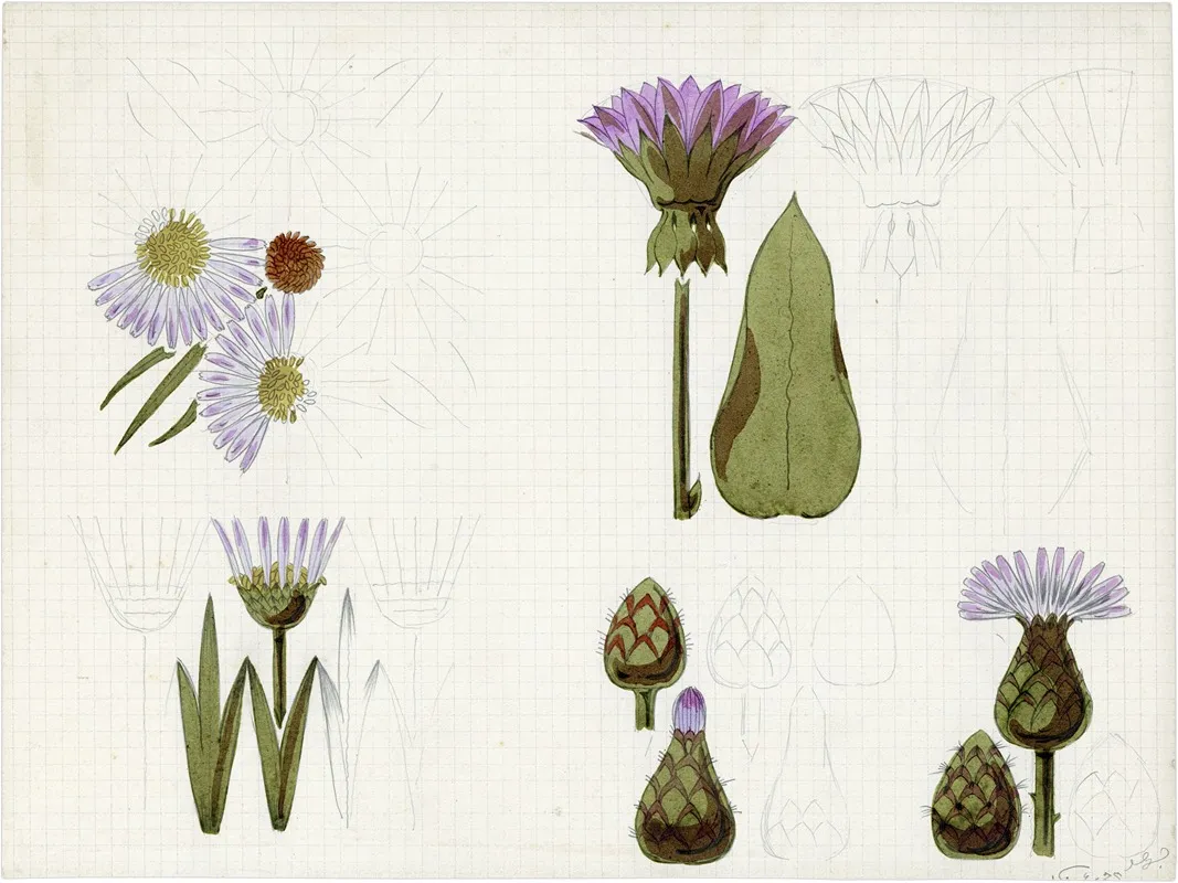 De Distel 2 Wall Art by Alfred Ost - High-Resolution Digital Print