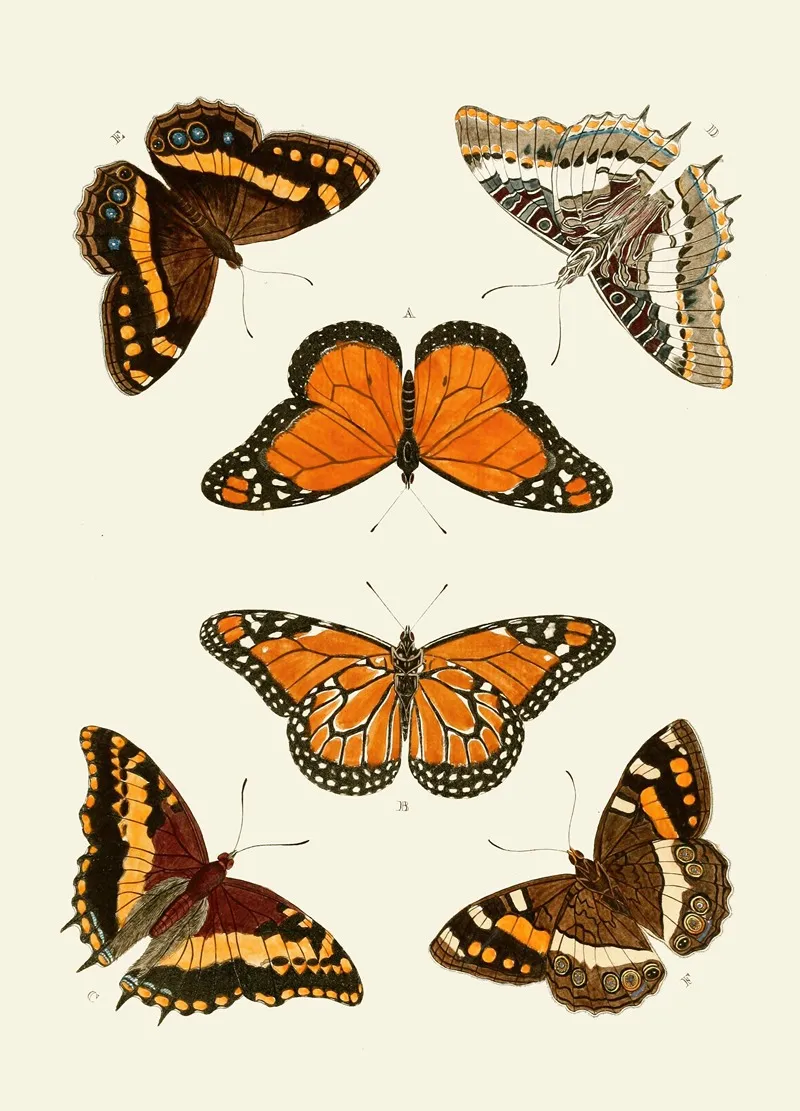 De Uitlandsche Kapellen Voorkomende In De Drie Waereld Deelen Asia Africa En America Pl03 Wall Art by Pieter Cramer - High-Resolution Digital Print