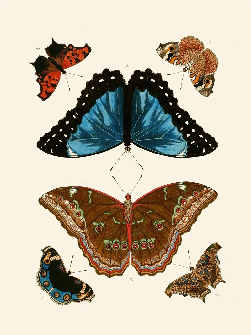 De Uitlandsche Kapellen Voorkomende In De Drie Waereld Deelen Asia Africa En America Pl19 Wall Art by Pieter Cramer - High-Resolution Digital Print