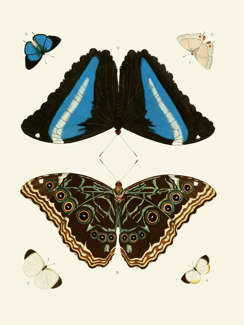 De Uitlandsche Kapellen Voorkomende In De Drie Waereld Deelen Asia Africa En America Pl27 Wall Art by Pieter Cramer - High-Resolution Digital Print