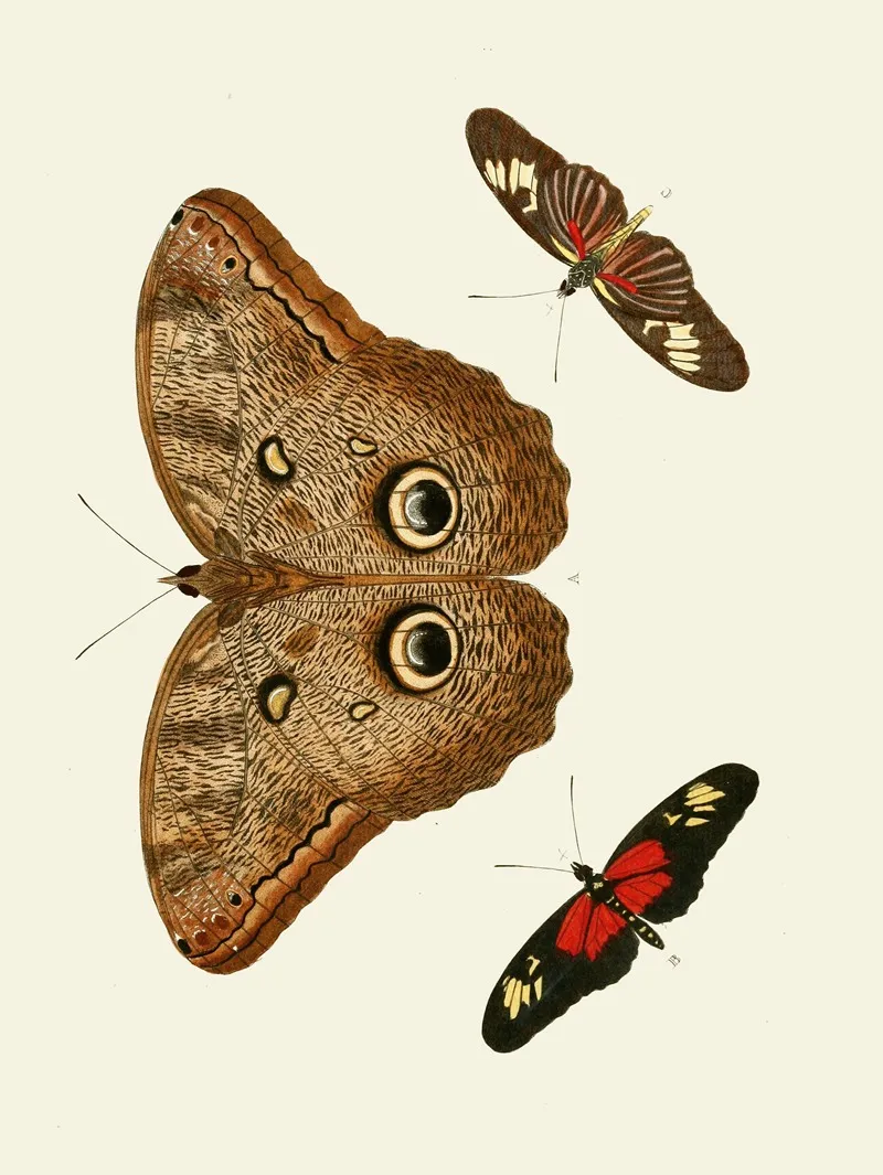 De Uitlandsche Kapellen Voorkomende In De Drie Waereld Deelen Asia Africa En America Pl34 Wall Art by Pieter Cramer - High-Resolution Digital Print