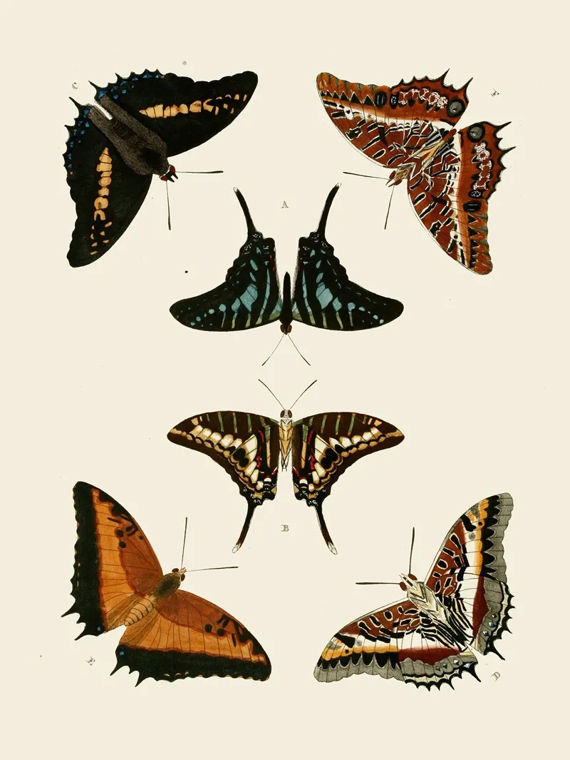 De Uitlandsche Kapellen Voorkomende In De Drie Waereld Deelen Asia Africa En America Pl37 Wall Art by Pieter Cramer - High-Resolution Digital Print