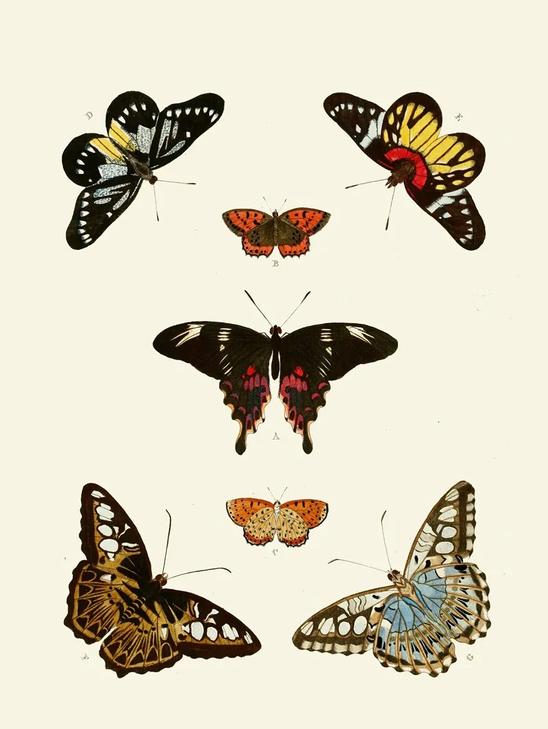 De Uitlandsche Kapellen Voorkomende In De Drie Waereld Deelen Asia Africa En America Pl43 Wall Art by Pieter Cramer - High-Resolution Digital Print