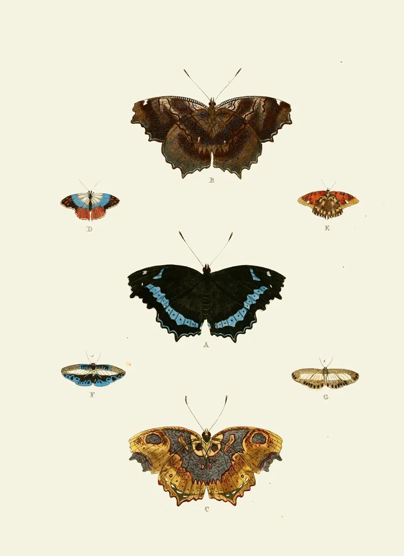 De Uitlandsche Kapellen Voorkomende In De Drie Waereld Deelen Asia Africa En America Pl47 Wall Art by Pieter Cramer - High-Resolution Digital Print