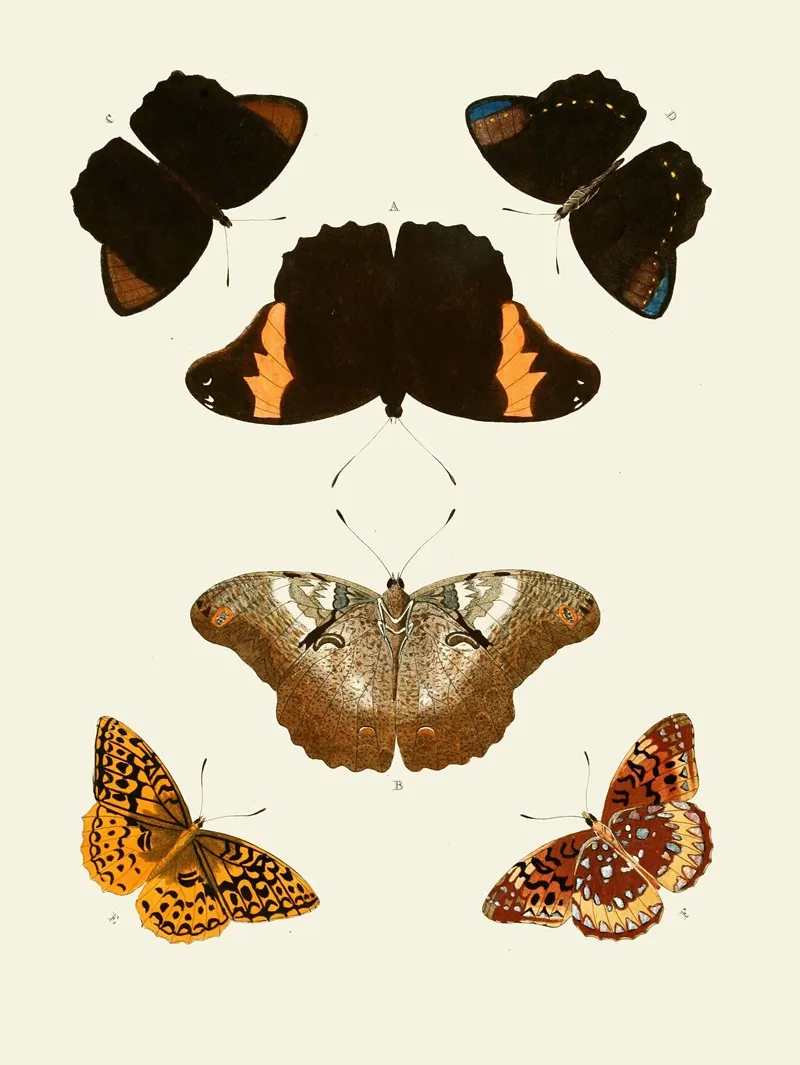 De Uitlandsche Kapellen Voorkomende In De Drie Waereld Deelen Asia Africa En America Pl57 Wall Art by Pieter Cramer - High-Resolution Digital Print