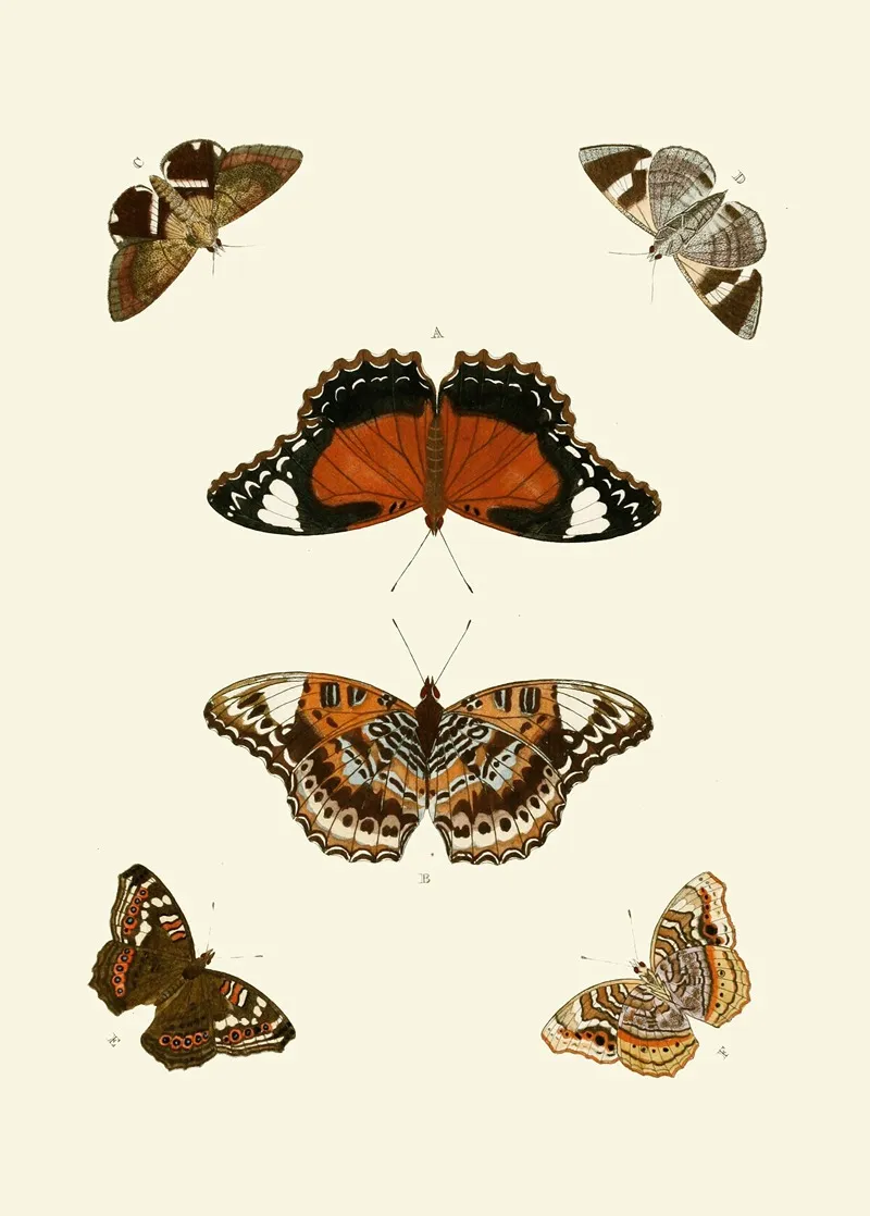 De Uitlandsche Kapellen Voorkomende In De Drie Waereld Deelen Asia Africa En America Pl62 Wall Art by Pieter Cramer - High-Resolution Digital Print