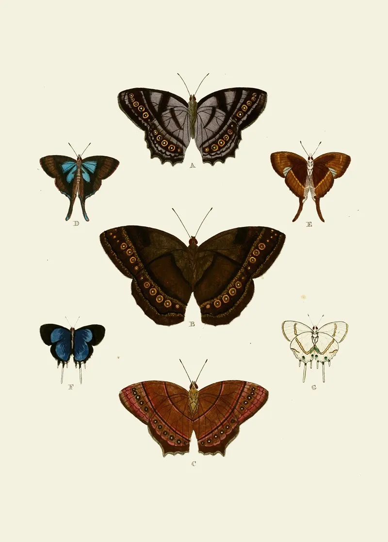 De Uitlandsche Kapellen Voorkomende In De Drie Waereld Deelen Asia Africa En America Pl96 Wall Art by Pieter Cramer - High-Resolution Digital Print