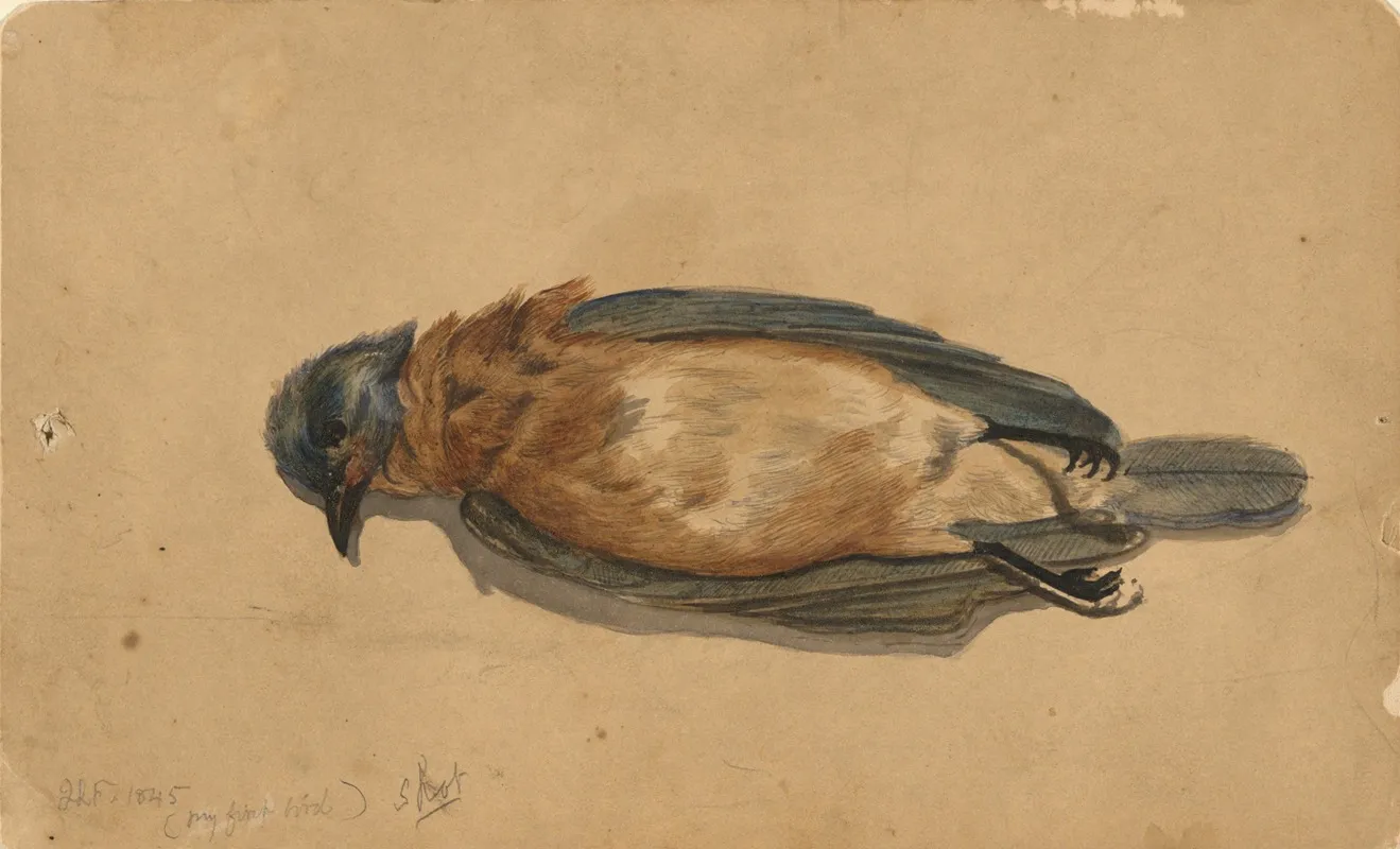 Dead Bird Wall Art by John La Farge - High-Resolution Digital Print