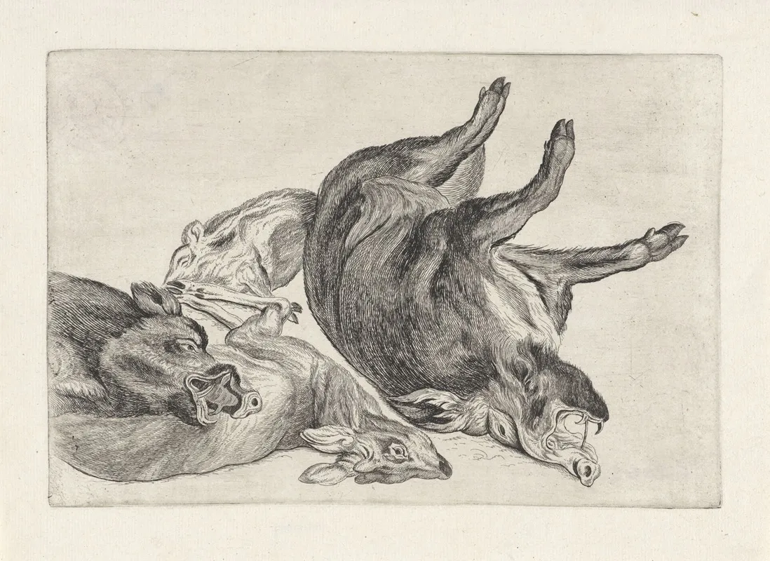 Dead Wild Boar Lying On Its Right Side Another With His Head On A Dead Deer
