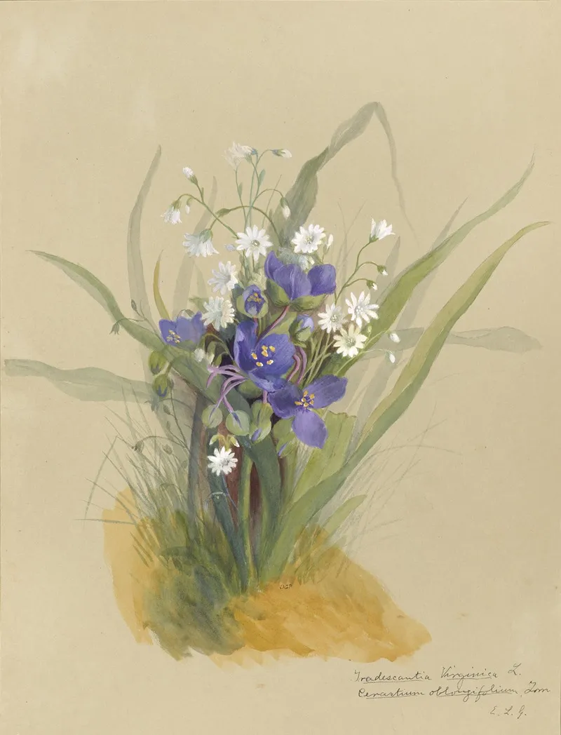 Deborah Griscom Passmore Watercolor Album Pl 01 Wall Art by Deborah Griscom Passmore - High-Resolution Digital Print