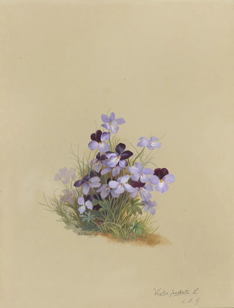 Deborah Griscom Passmore Watercolor Album Pl 18 Wall Art by Deborah Griscom Passmore - High-Resolution Digital Print