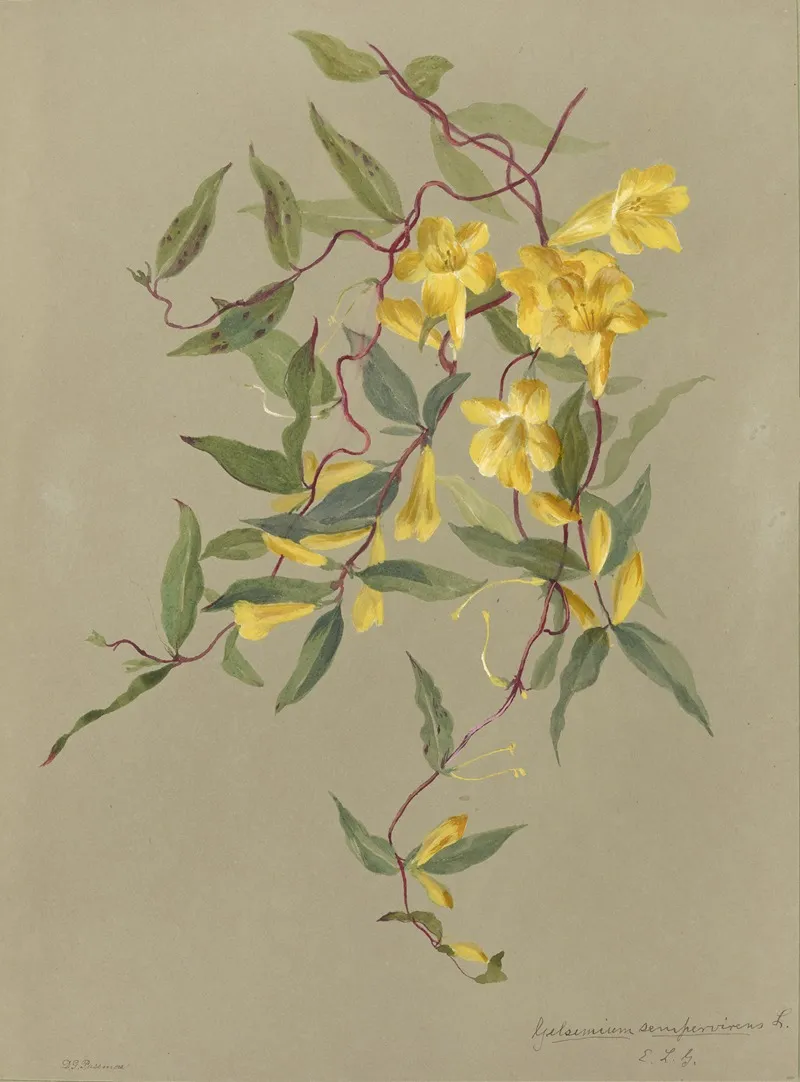 Deborah Griscom Passmore Watercolor Album Pl 28 Wall Art by Deborah Griscom Passmore - High-Resolution Digital Print