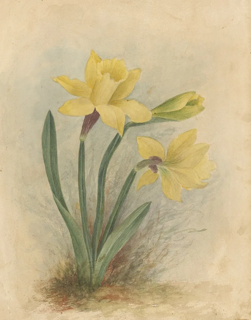 Deborah Griscom Passmore Watercolor Album Pl 64 Wall Art by Deborah Griscom Passmore - High-Resolution Digital Print